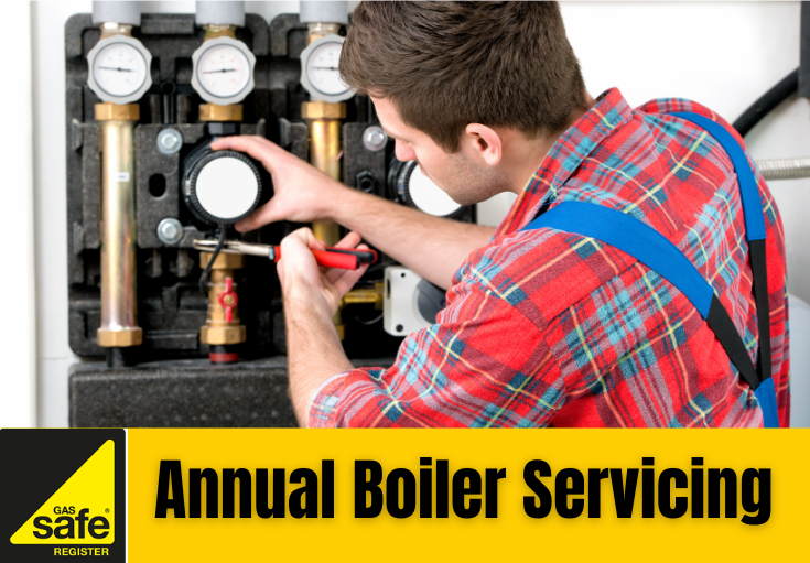 annual boiler servicing Swanscombe